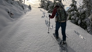 Peak Bagging Pilot Peak