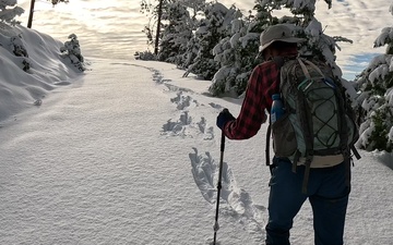 Peak Bagging Pilot Peak