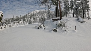 Peak Bagging Pilot Peak