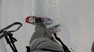 Peak Bagging Pilot Peak