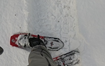 Peak Bagging Pilot Peak