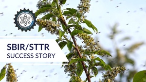 Mosquito magnets: ISCA protects warfighters against disease carrying insects