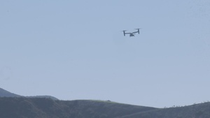 U.S. Marines and Sailors treat simulated patients in Battalion Aid Station during Steel Knight 25