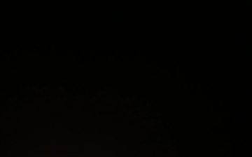 Starlink 6-81 mission launches from CCSFS