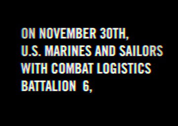 Swedish Heritage Day Parade | Freezing Winds 25