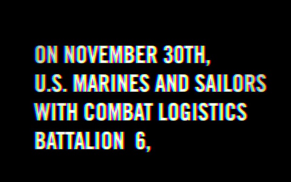 Swedish Heritage Day Parade | Freezing Winds 25