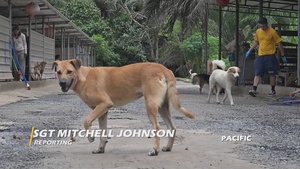 Pacific Update: CARAT Brunei 2025: U.S. Sailors provide support at Local Dog Shelter