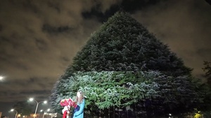 Camp Zama kicks off holiday season with annual tree-lighting event