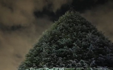 Camp Zama kicks off holiday season with annual tree-lighting event