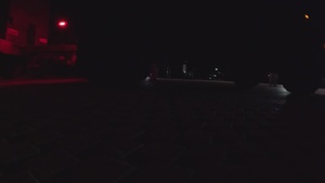 Ivy Sting III Movement B-Roll