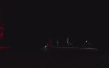 Ivy Sting III Movement B-Roll