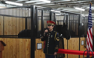 Caisson Interim Stables Grand Opening