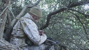 Marines with 1st Recon Bn. conduct reconnaissance and surveillance during Steel Knight 25