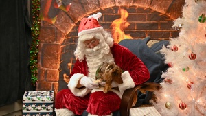 Misawa Santa Paws 2025