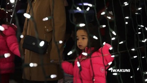 Holiday Tree Lighting Ceremony, Marine Corps Air Station Iwakuni, Japan, 2025