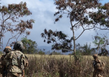25th CAB and DIVARTY conduct M119 Howitzer Dry Fire