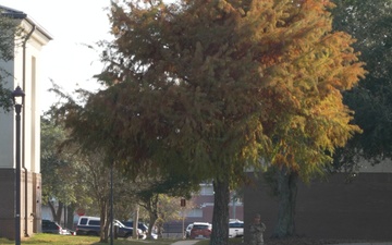 Don’t forget to salute!