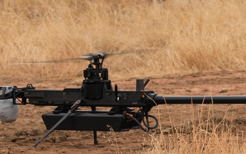 Ivy Sting III Ghost B-roll