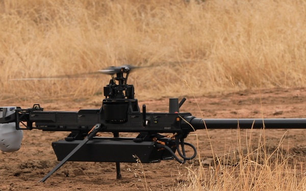 Ivy Sting III Ghost B-roll