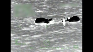 Coast Guard rescues 5 people off Egmont Key