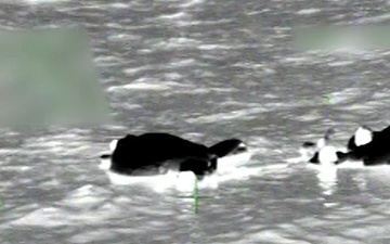 Coast Guard rescues 5 people off Egmont Key