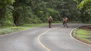 Combined Jungle Operations Training Course 26-2: Assault Mission B-Roll
