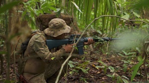 Combined Jungle Operations Training Course 26-2: Assault Mission B-Roll