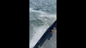 Operation Coal Shovel 2025