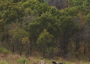 M Troop, 3rd Squadron, 16th Cavalry Regiment, 316th Cavalry Brigade, Tank Commander's Course Live Fire Exercise Reel