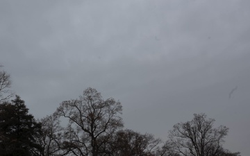 Arlington at Rest: Wreaths Lay a Field of Tribute