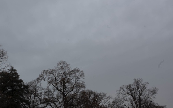 Arlington at Rest: Wreaths Lay a Field of Tribute