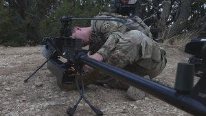 Ivy Sting III Ghost B-Roll