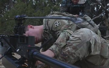 Ivy Sting III Ghost B-Roll