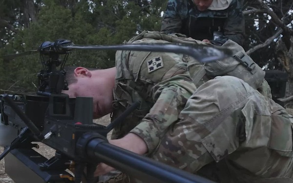 Ivy Sting III Ghost B-Roll