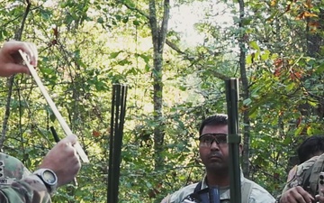 E2B: Where Experts are Forged