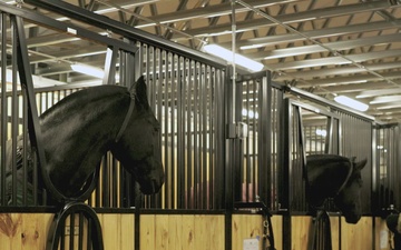 USACE Delivers Horse Stables in 10 Months
