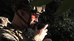 12th LCT Marines Execute Fire Team Attacks During an FTX B-Roll