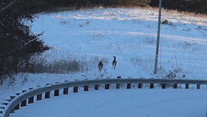 Caring for Eau Galle: A ranger's commitment