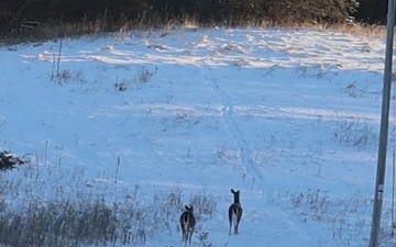 Caring for Eau Galle: A ranger's commitment