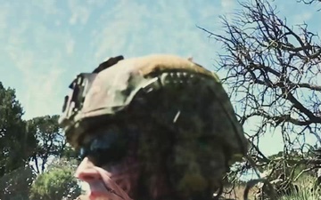 Ivy Sting III Loading