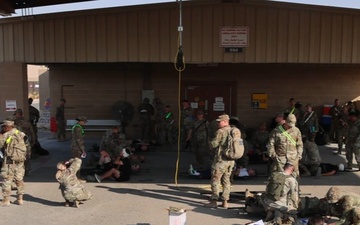 Capable Cavalier BROLL