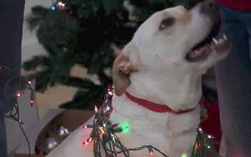 Holiday Greetings from Lt Gen Stephen Jost