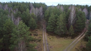 3rd BEB Conducts Demolition Training at BPTA