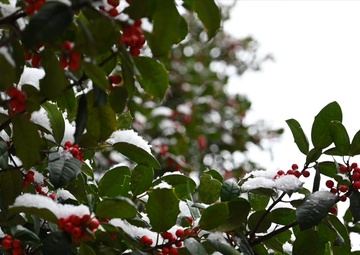 Season's Greeting from Naval District Washington 2025