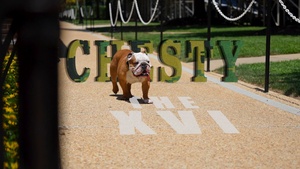 A Day in the Life of Chesty