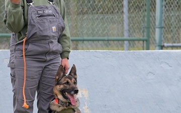 436th SFS Military Working Dogs B-Roll Stringer