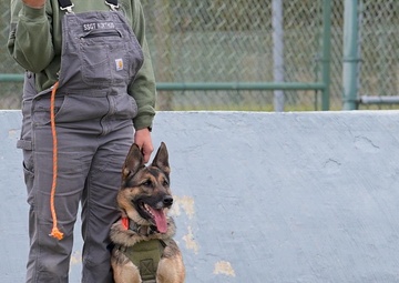 436th SFS Military Working Dogs B-Roll Stringer