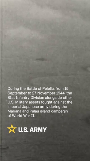 Relics of World War II in Peleliu, Palau Reel