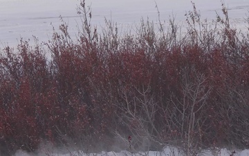 U.S. Marines with 4th Law Enforcement Battalion conduct snowmobile training during a Toys for Tots delivery operation in Kotzebue, Alaska, Dec. 7, 2025.