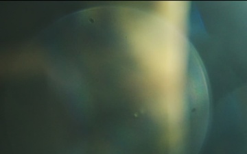 The Queen of the Deid